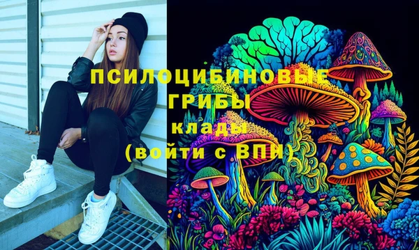 соль курить ск Ельня