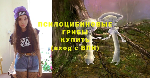 соль курить ск Ельня
