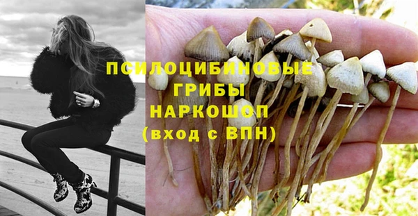 метадон Елабуга