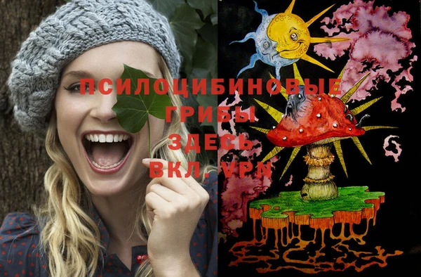 соль курить ск Ельня
