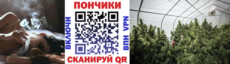 гидра зеркало  закладки  Сковородино  Шишки марихуана AK-47 